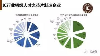 挖人 風潮再起 我國半導體行業(yè)人才供需狀況解讀