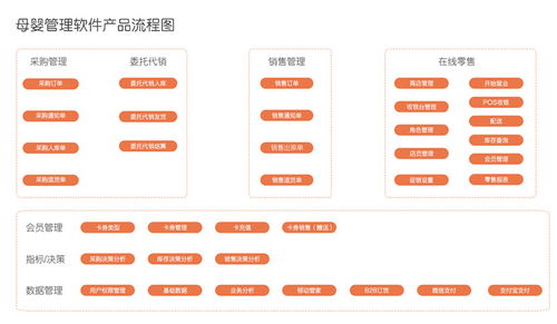 濮陽(yáng)連鎖母嬰軟件咨詢